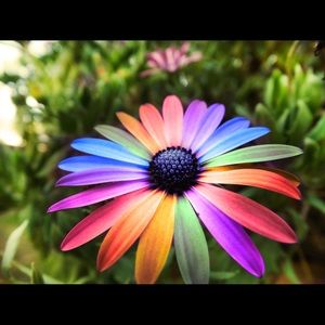 Meet your Posher, Helen